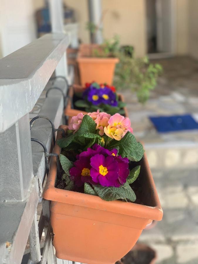 Guest House Loza Sighnaghi Exterior photo
